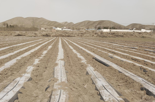 节水灌溉大发展 农民增收稳提升