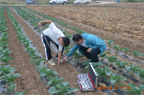 兰州市水务局稳步推进农田灌溉水有效利用系数测算分析 助力全市水资源高效节约集约利用